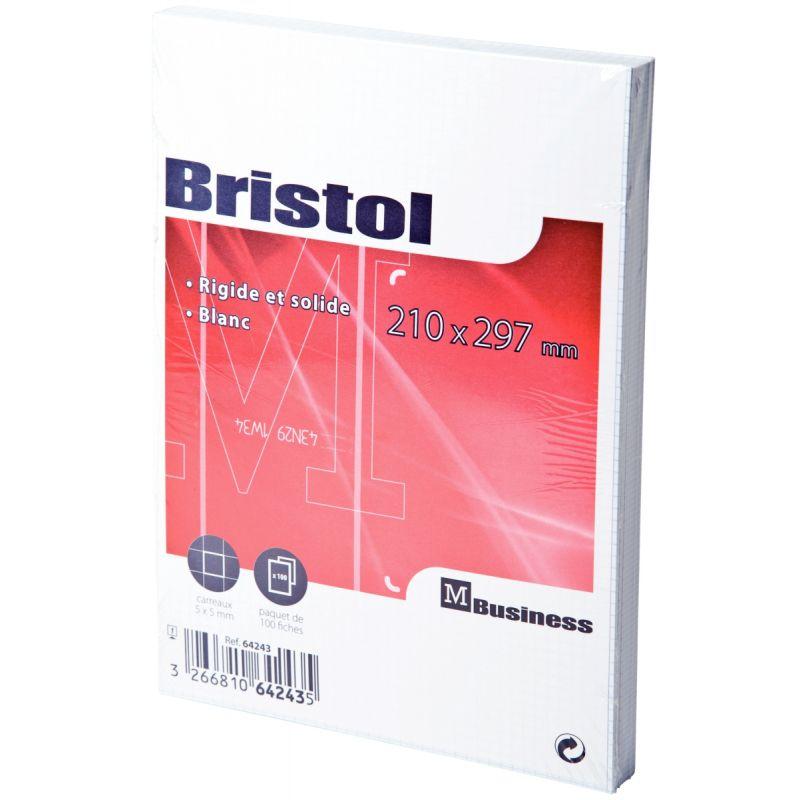 HERLITZ Paquet de 100 fiches bristol, format A4, lignées, blanc - Papier  spécifique - LDLC